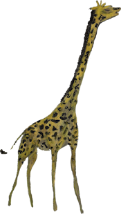 beastiary giraffe